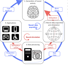 Bci controlled walking simulator for a bci driven fes device. General Functioning Of A Bidirectional Bci The Clockwise Flow Download Scientific Diagram