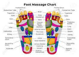 Foot Reflexology Chart With Description Of The Internal Organs
