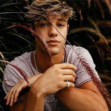 Cameron Dallas Cameron Dallas Cameron Alexander Dallas Dallas Taylor