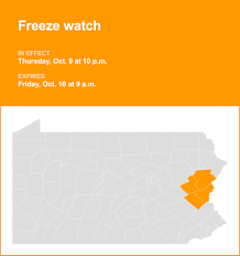 lehighvalleylive - News update