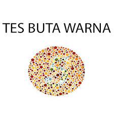 Aug 06, 2015 · data gambar dan jawaban selalu acak sehingga pengguna tidak mudah untuk menebak isi gambar. Tes Buta Warna For Android Apk Download