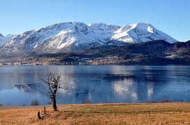 Elvene har ofte bratte, korte løp med høye fosser, men på fjellvidda er elvene lange, slake og meandrerende. Skorpshornet Og Et Tre I Sykkylven Norway Travel Beautiful Norway Scandinavia Travel