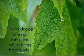 Quotes that contain the word raindrops. Raindrops Quotes Quotesgram