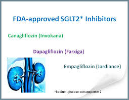 Image result for SGLT2 Inhibitor