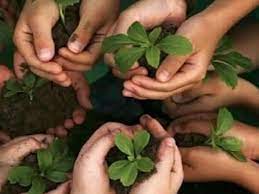 World environment day 2021 ignou seminar google meet link: à¤µ à¤¶ à¤µ à¤ªà¤° à¤¯ à¤µà¤°à¤£ à¤¦ à¤µà¤¸ 2020 à¤¥ à¤® à¤µ à¤¶ à¤µ à¤ªà¤° à¤¯ à¤µà¤°à¤£ à¤¦ à¤µà¤¸ à¤¸ à¤² à¤—à¤¨ à¤µà¤° à¤² à¤¡ à¤à¤¨ à¤µ à¤¯à¤°à¤® à¤Ÿ à¤¸ à¤² à¤¬ à¤° à¤¶à¤¨ World Environment Day 2020 Theme Significance History Know All About