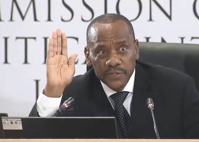 No issues, difficulties with Mkhwanazi': former Hawks boss Lebeya