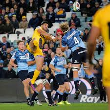 His right ankle and will be out for a minimum of 12 weeks just months after his controversial return to french rugby at montpellier. Jeronimo De La Fuente Wikipedia