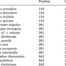 Image result for Empogona ngalaensis