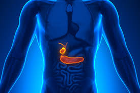 It makes digestive enzymes (proteins that break down food) and most pancreatic cancers occur in the part of the pancreas that produces digestive fluids. How Does Nutrition Affect Pancreatic Cancer Cancer Ut Southwestern Medical Center