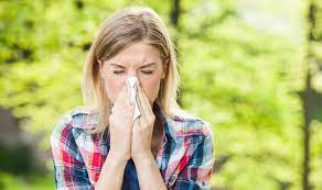 Allergischer Schnupfen Ursachen Symptome Diagnose Netdoktor At