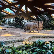 zoo zurich willkommen