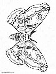 For more coloring pages and activities, visit us at nwf.org/kids. Butterfly Coloring Pages Free Printable Pictures For Kids
