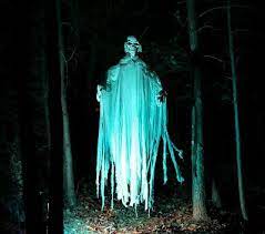 Grim Hollow Haunt The Haunted Trail 2011 Halloween Haunt Haunted Trail Ideas Scary Halloween