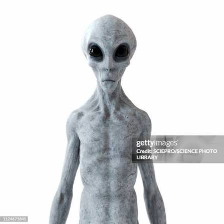 764 Grey Aliens Stock Photos, High-Res Pictures, and Images - Getty Images