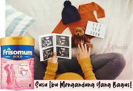 Hal tersebut dibuktikan melalui penyediaan kandungan. Frisomum Gold Untuk Ibu Hamil Susu Ibu Mengandung Yang Bagus