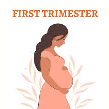 Image result for First Trimester Education