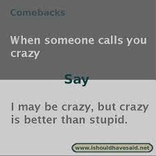 And i'm never really sure what to call sarah huckabee sanders, you know? Use Our Great Comebacks If Someone Calls You Crazy Check Out Our Top Ten Comeback Lists At Www Ishould Funny Comebacks Funny Memes Comebacks Sarcasm Comebacks
