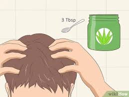 Rambut yang kering dapat diakibatkan dari terlalu banyak paparan. 3 Cara Untuk Menggunakan Gel Lidah Buaya Di Rambut Wikihow