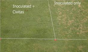 The new civitas turf defense label now reflects what users have known for. Activating Disease Resistance In Turfgrasses Against Fungal Pathogens Civitas And Harmonizer Springerlink