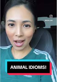 Understanding Animal Idioms in English