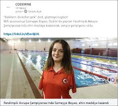 Codemine Codemine3 Twitter