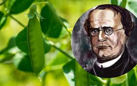 Science and religion