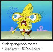 A collection of the top 63 spongebob meme wallpapers and backgrounds available for download for free. Funny Hd Spongebob Wallpapers