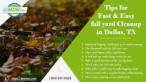 We have brought on professional, environmentally conscious teams to bring sustainable lawn clean air lawn care is the only lawn care company that offers 100% organic, selective weed control treatments. Tips For Fast And Easy Fall Yard Cleanup In Dallas Tx Gomow