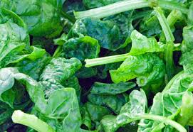 It can also be an early spring crop if you grow under a row cover or cold frame to protect it from extremes. How To Grow Spinach Organically Planet Natural