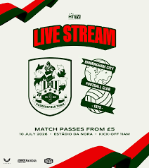 birmingham vs huddersfield