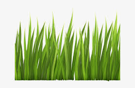 Grass Clipart Clear Background Clipart Transparent Background Grass 640x480 Png Download Pngkit The color of the flowers is based on the material of the armor. clipart transparent background grass