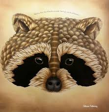 Portion with this improve has been that after it had been began, and adults started carrying it out, scientists were eager to understand whether it had any healing benefits. Finished The Raccoon Milliemarotta Fantastischetierwelt Animalking Millie Marotta Animal Kingdom Animal Kingdom Colouring Book Animal Kingdom Millie Marotta