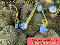 Dapatkan juga promo untuk harga minuman anggur merah. Ini Dia Daftar Harga Buah Durian Terkini 2021 Aplikasi Pertanian Media Agribisnis Gdm Agri
