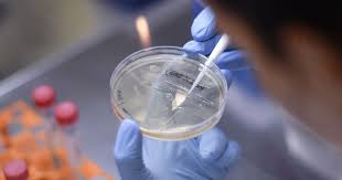 Joining covax is a boost for the coalition as well as beijing's image. Coronavirus Covishield Vaccine Could Be A Realistic Solution To The Pandemic Says Icmr