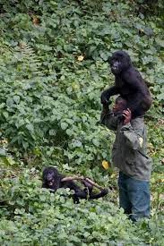 LES ETHNIES... - LES ETHNIES DE LA COTE D'IVOIRE ET D'AFRIQUE