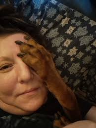 My new eye patch. Puppy Lynn