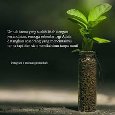 Kehidupan memiliki sesuatu yang berharga dan itu bukan sesuatu yang bisa kamu capai. Kata Bijak Dan Motivasi Photos Facebook