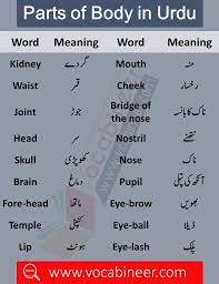 Pin By Abu Emad On English English Vocabulary Words Learn English Words English Phrases Sentences