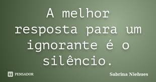 A Melhor Resposta Para Um Ignorante E O Sabrina Niehues