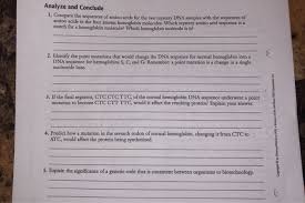 Bookmark file pdf genetic mutations pogil answers source: How Do Amino Acid Sequences Affect Organisms