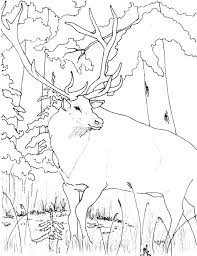 Print elk coloring page (color). Coloring Pages Colonial Towns