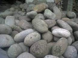 Batu Kali Cantik Untuk Aquascape Tema Natural Aquascaping Fosil Lava