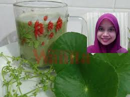 Centella asiatica atau lebih dikenali deângan nama pegaga di negara ini ialah sejenis ulam yang bukan sekadar memiliki kebaikan dari segi. Amalkan Jus Pegaga Sekali Seminggu Kesannya Kulit Lebih Anjal Sihat Cantik Secara Semulajadi Mingguan Wanita