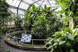 Otevíráme venkovní expozice ta v troji! Botanicka Zahrada Hl M Prahy Firemni Akce