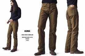 Image result for Indigofera quarrei