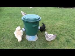 Youtube Chicken Garden Trash Can Hens