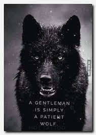 Check spelling or type a new query. 87 Wolf Ideen Krieger Zitate Wolf Hunde Weisheiten