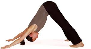 Improve Your Dancing With Yoga Warming Up With Downward Facing Dog Dance Workout Yoga Downward Facing Dog