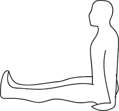 Chaturanga dandasana is not the same thing as upward facing dog. Dandasana Ayurwiki