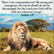 Have I Not Commanded You Be Strong And Courageous Do Not Be Afraid Do Not Be Discouraged For The Lord Your God Will Be With You Lion Of Judah Animals Lions